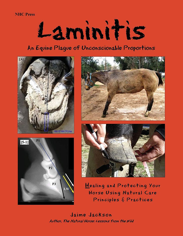 Jamie Jackson Laminitis book cover